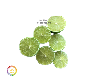 Proveedor de Limas Verdes Frescas Sin Semillas de Vietnam - Product Image 3