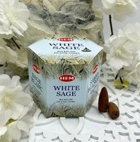 Paquete de 40 conos de incienso HEM White Sage Backflow, conos de fragancia marrón para meditación, limpieza de aura, alivio del estrés y relajación