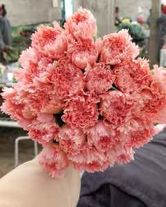 Girofle standard - Product Image 1