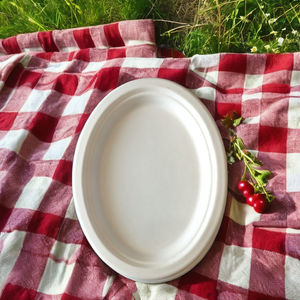 Bandeja ovalada desechable de 12,5x10 pulgadas, placa de pulpa de caña de azúcar y bagazo compostable ecológica biodegradable para acampar - Product Image 2