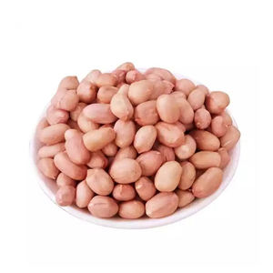 Premium <b>Peanuts</b> bulk supply wholesale affordable price fresh bulk - Product Image 6