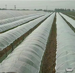 Film agricole de haute qualité en PE double couche, épaisseur 0,01-0,20 mm, résistant aux UV, pour les légumes, usine Proline au Vietnam - Product Image 1