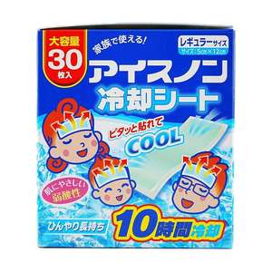 HAKUGEN30 Paquetes de Hielo Promocionales - Material de PE No Tóxico para Reuniones Familiares y Fiestas - Product Image 4