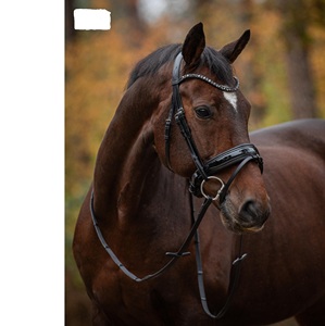 Brida snaffle - Product Image 1