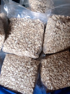 Hot Deal Broken Cashew <b>Nut</b> From Binh Phuoc Vietnam New Crop Broken Cashew <b>Nut</b> with High Quality - Product Image 5