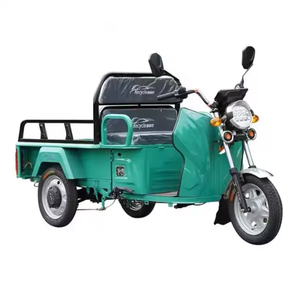 รถสามล้อเครื่องยนต์เบนซินสำหรับอุตสาหกรรม/แบบ DIY ยอดนิยม รุ่น OEM / บาจาจ / รถแท็กซี่สามล้อโดยสาร - Product Image 2