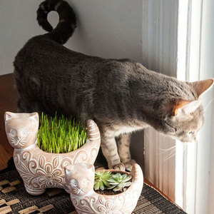 Productos artesanales Premium hechos a mano en Bangladesh con técnicas tradicionales artesanales auténticas y únicas - Product Image 4