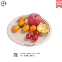 Lot de 12 assiettes jetables biodégradables en bagasse de canne à sucre blanches de 12 pouces – Écologiques pour restaurants, plats à emporter, fêtes et mariages