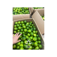 Citrons frais sans pépins de haute qualité: le choix d'exportation parfait pour des recettes délicieuses et nutritives