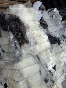 PVB - FILM POLYVINYLAQUE (POLYVINYLAQUE) - environ. 80% CLAIR - 20% COLORÉ BALLES DE DÉCHETS / RÉMENDES POUR RECYCLAGE. - Product Image 5