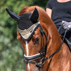 Conjunto de Equitación de Doma Clásica 2024, Superventas, con Silla de Montar, Almohadilla, Botas, Estribos, Diseño OEM, Logotipo Personalizado, Forro de Polialgodón, Alta Calidad - Product Image 4