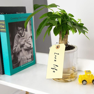 Etiqueta de Prenda Ecológica de Lujo al por Mayor, Etiqueta Colgante de Papel Impreso, Diseño en Relieve, Etiqueta Personalizada con Encabezado para Zapatos y Ropa - Product Image 6