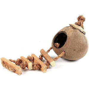 CONCEPTION RONDE DE MAISON D'OISEAU DE NOIX DE COCO 2025 NATURELLE D'EXPORTATION CHAUDE du VIETNAM - Product Image 1