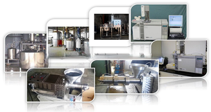 100% aceite esencial de hierba de limón puro de alta calidad para el cuidado de la piel natural, aromaterapia, cocina y suministro a granel disponible - Product Image 4