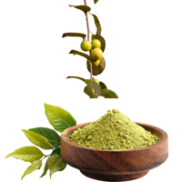 Poudre de feuilles de Sidr naturelle pour favoriser la croissance des cheveux et nettoyer la peau, masque facial à base de plantes, ingrédient végétal pour usage quotidien