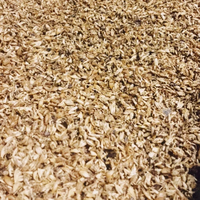 Vente en gros abordable de résidus de farine de bière et de grains de brassage disponibles pour l'alimentation animale