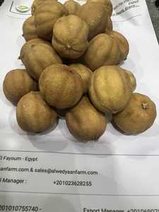 เลมอนสีเหลืองอบแห้งคุณภาพสูงจากธรรมชาติแบบ100% - Product Image 4