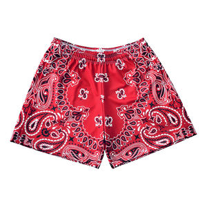 2026 Custom Colors Printed <b>Men's</b> Mesh <b>Bandana</b> Shorts Quick Dry 100% Polyester Custom Paisley Print Mesh Shorts DDP Shipping - Product Image 6