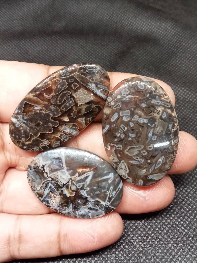 สีน้ำตาล