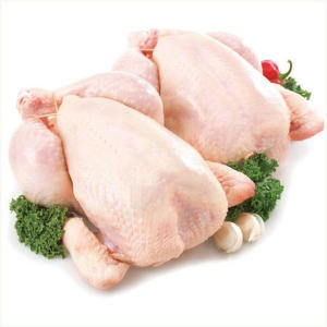 Pollo Entero Congelado Halal de Primera Calidad, Pollo Entero y en Piezas Congelado Halal de Calidad - Product Image 5