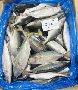 ปลาแมคเคอเรลอินเดียแช่แข็งอาหารทะเลสดๆ - Product Image 2
