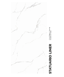 Carreaux vitrifiés brillants modernes 800x1600mm Corps en porcelaine pour bureau à domicile Décoration murale intérieure à bas prix - Product Image 1