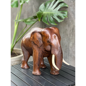 Estatua de Elefante de Madera Tallada a Mano de 8 Pulgadas, Decoración de Altar Tailandés, Regalo de la Suerte, Hermosa Estatua de Elefante de Madera Tallada a Mano, Producto de Tailandia - Product Image 1