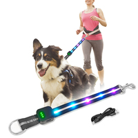 Accessoires pour animaux de compagnie lumineux électroniques personnalisés, imperméables, rechargeables, clignotants, laisse pour chien LED pour la sécurité nocturne