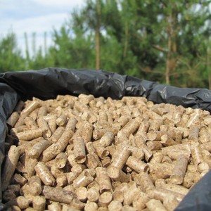 เม็ดไม้เผาไหม้นานจากเวียดนาม - ขายส่งสำหรับเตาปิ้งย่างเม็ดไม้ ส่งออกไปยังสหภาพยุโรป สหรัฐอเมริกา - เม็ดไม้คุณภาพสูง - Product Image 2