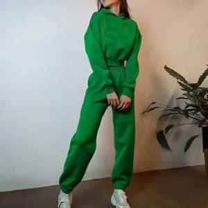 Logo personnalisé femmes manches longues femmes haut court à capuche dames à capuche couleurs unies fermeture éclair haut pull recadrée à capuche femmes - Product Image 4