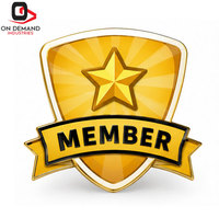Badges de membre en acier de qualité supérieure, avec illustrations personnalisées, finition plaquée or, attache sécurisée, respectueux de l'environnement, reconnaissance professionnelle