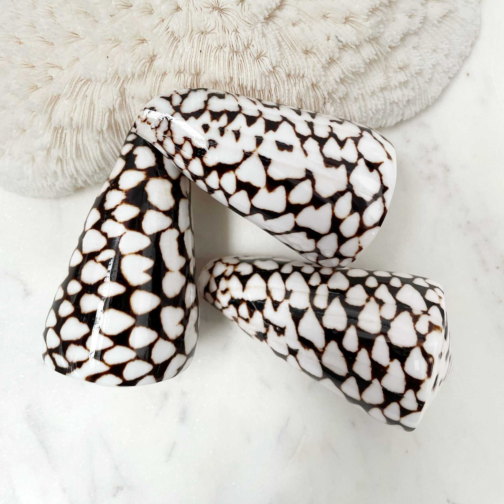 ธรรมชาติ