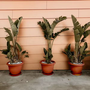 PRIMAVERA Pot de fleur rond en plastique jardinière intérieure/extérieure résistante au gel UV avec plusieurs tailles et couleurs pour la maison et le jardin - Product Image 1