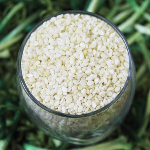Mejor Oferta de Semillas de Sésamo Naturales Premium para la Elaboración de Aceite de Tahini y Aplicaciones en la Industria Alimentaria - Product Image 1