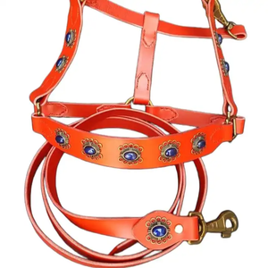 Venta caliente cuero de vaca marrón caballo ecuestre Headstall pecho Collar cuero genuino inglés sillín brida diseño elegante Nylon - Product Image 3