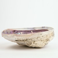 Ensemble cadeau unique artisanal naturel bougies en coquillage bougie parfumée ou non parfumée en coquillages d'ormeau