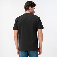 T-shirt promotionnel personnalisé pour hommes, 100 % coton tricoté, écologique, respirant, avec logo, marque privée, vente en gros, manches courtes