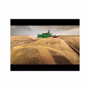 High Quality 43% 46% 48% Wholesale Soybean Meal and Corn Meal Gluten <b>Feed</b> for Animals Fresh <b>Supply</b> From Trusted Source - Product Image 1