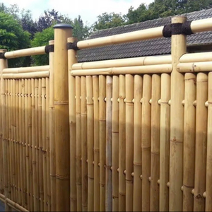 Arquitectura paisajística natural de bambú para exteriores para uso como muebles decorativos de Vietnam - Product Image 6