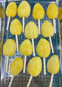 ช็อคโกแลตมะม่วงแช่แข็ง/อบแห้งเวียดนาม-ความหวานจากธรรมชาติรสเลิศ - Product Image 3