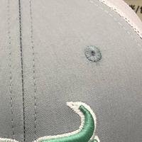 Gorras de Béisbol Personalizables de 5 Paneles, Nuevo Diseño Deportivo, Estilo de Imagen en Tela Común, Logotipo Bordado en 3D con Contraste