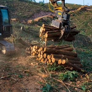 Nueva Excavadora Hidráulica a Gasolina WO YUAN de 20-25 Toneladas con Garra, 1 Año de Garantía para Uso Forestal - Mayor Seguridad y Tiempo de Funcionamiento - Product Image 2