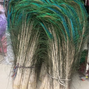 <span class=keywords><strong>Attrape</strong></span>-rêves coloré DIY avec <span class=keywords><strong>plume</strong></span> teintée <span class=keywords><strong>Paon</strong></span> - Product Image 6