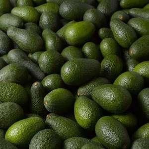 Aguacate Hass de California orgánico fresco al por mayor - Product Image 1