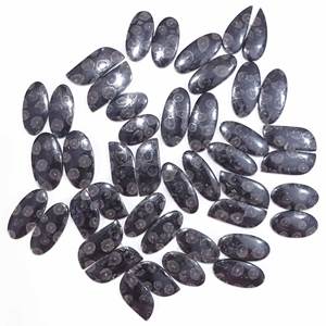 Último diseño de piedra natural al por mayor cabujón negro fosilizado Coral par de piedras preciosas sueltas para hacer joyas - Product Image 5