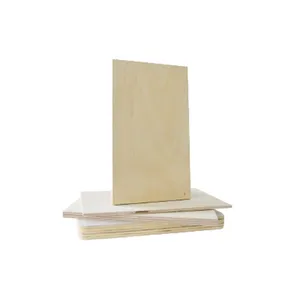 Verified Manufacture High Grade Melamine Laminated Plywood Board/White Melamine Faced Ply Wood for Wardrobe From Vietnam