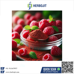 Best Offer Brand New Natural Herbojit International Food Grade Raspberry Juice Powder <b>Spray</b> Dried Fruit Colorants Made India - Product Image 6