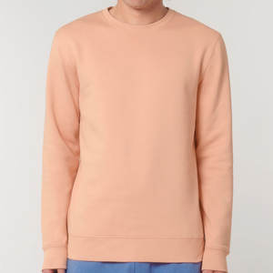 100% pur coton sweats à capuche couleur Logo mode épais hommes tissé unisexe à manches longues sweats Sport pull - Product Image 2