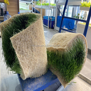 Climate Controlled Fodder Container for <b>Barley</b> Grass Animal Feed Growing in Cold and Dry Areas - Product Image 6