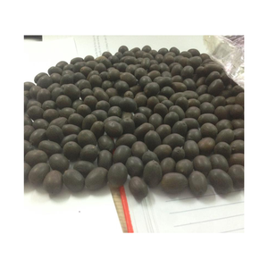 PRÊT À EXPORTER EN GROS/BLANC/NOIR GRAINES DE LOTUS SÉCHÉES AU MEILLEUR PRIX ET DE HAUTE QUALITÉ DU VIETNAM - Product Image 5